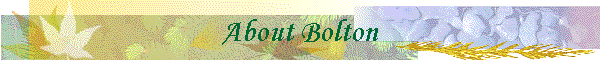 About Bolton