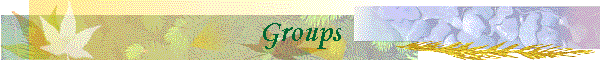 Groups