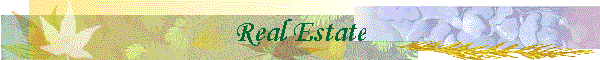 Real Estate