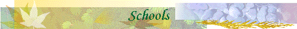 Schools